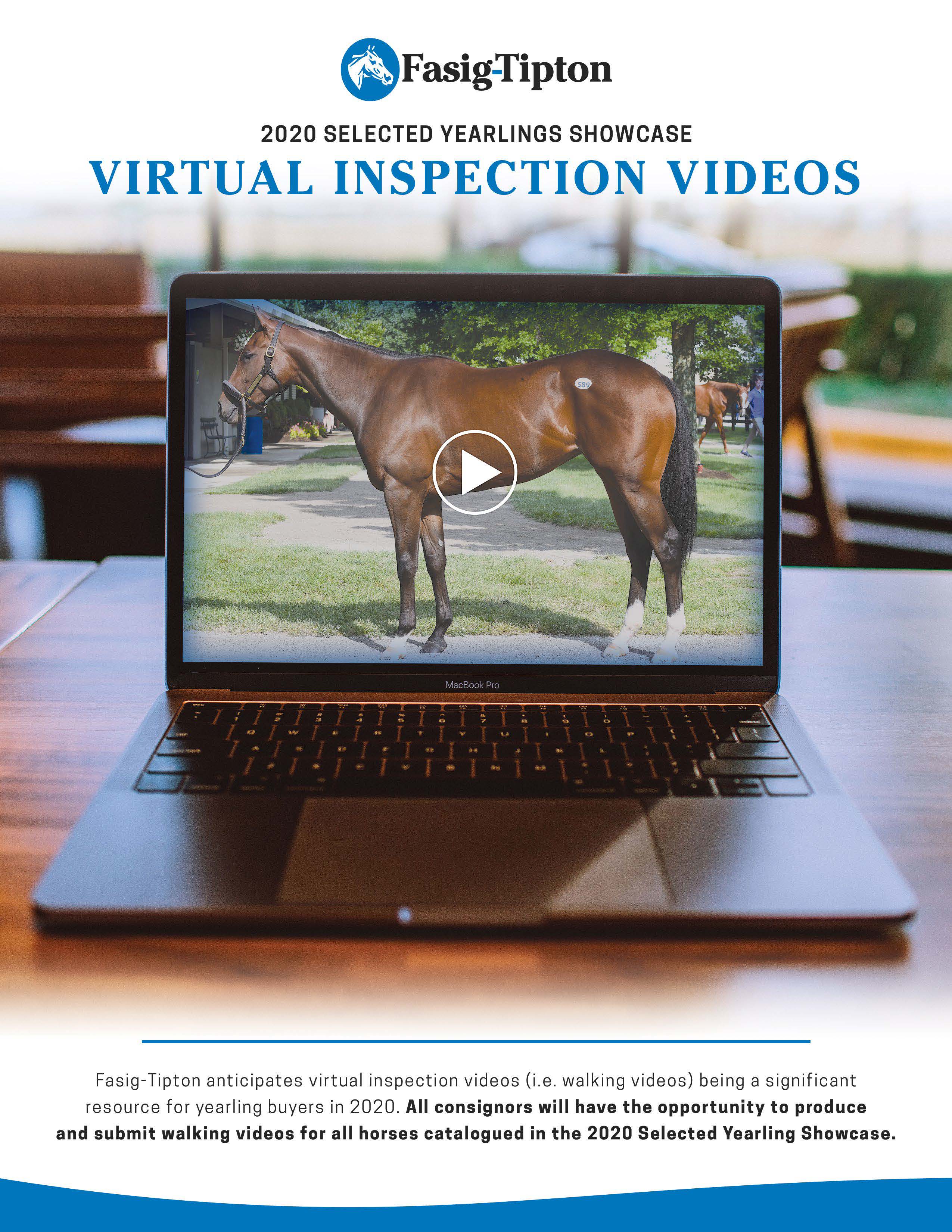 Fasig-Tipton Virtual Inspections